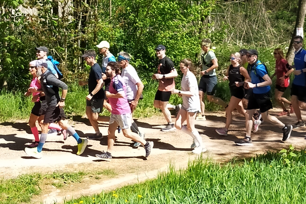 Eine Gruppe läuft an der Wiese entlang.